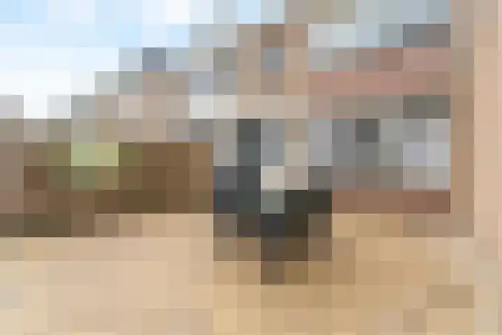 Adama van Scheltemastraat 3 Krimpen aan de Lek thumbnail 29