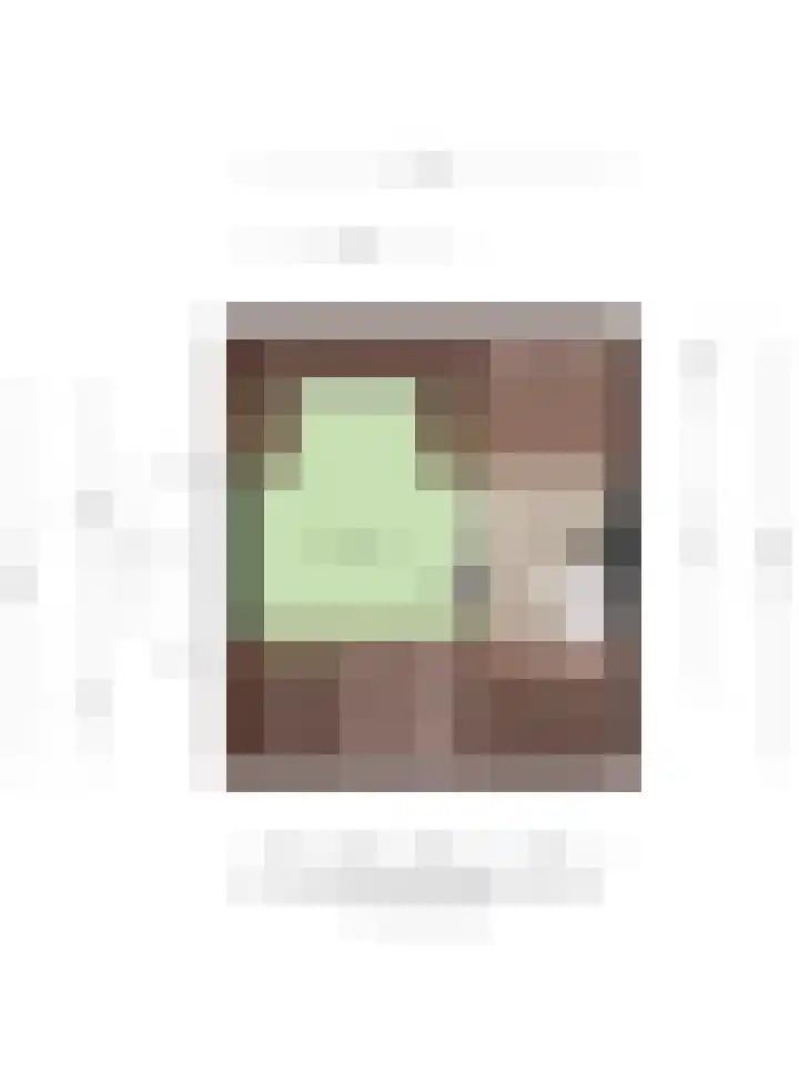 Adama van Scheltemastraat 3 Krimpen aan de Lek thumbnail 35