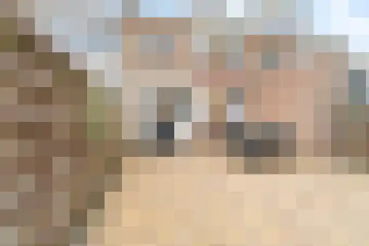 Adama van Scheltemastraat 3 Krimpen aan de Lek thumbnail 4