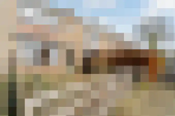Adama van Scheltemastraat 3 Krimpen aan de Lek thumbnail 5