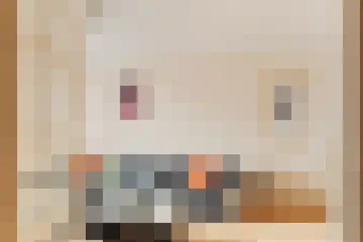 Adama van Scheltemastraat 3 Krimpen aan de Lek thumbnail 6