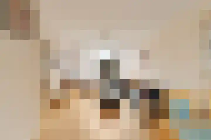 Adama van Scheltemastraat 3 Krimpen aan de Lek thumbnail 7