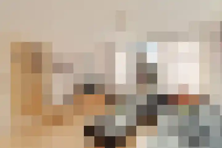 Adama van Scheltemastraat 3 Krimpen aan de Lek thumbnail 8