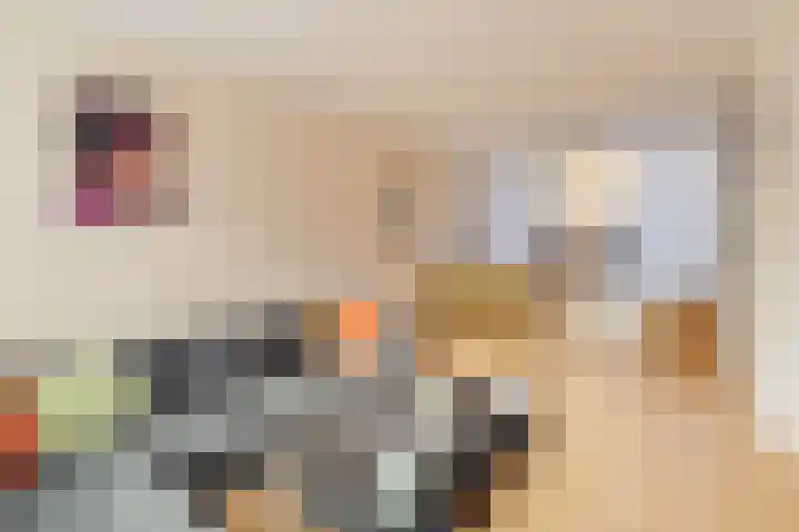 Adama van Scheltemastraat 3 Krimpen aan de Lek thumbnail 9