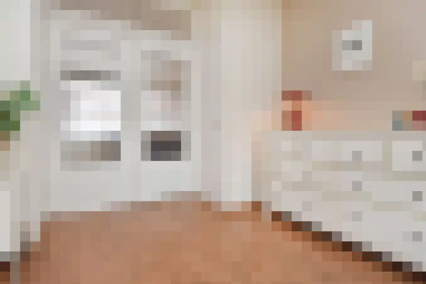 Adama van Scheltemastraat 43 Voorburg thumbnail 10