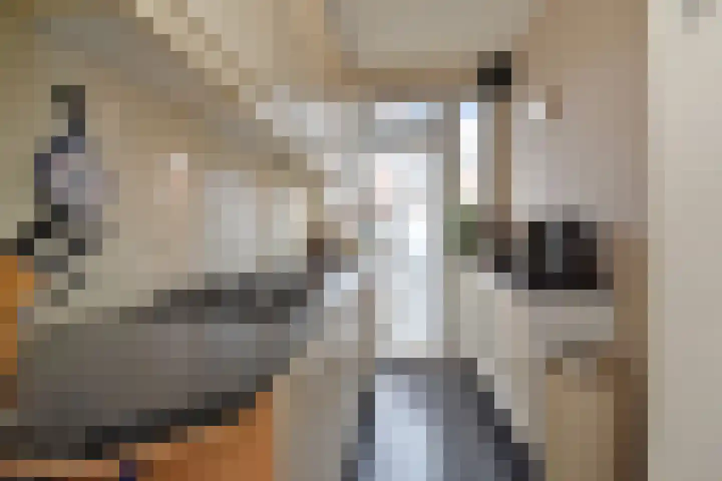 Adama van Scheltemastraat 43 Voorburg thumbnail 11
