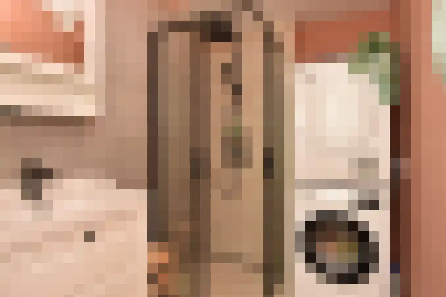 Adama van Scheltemastraat 43 Voorburg thumbnail 19