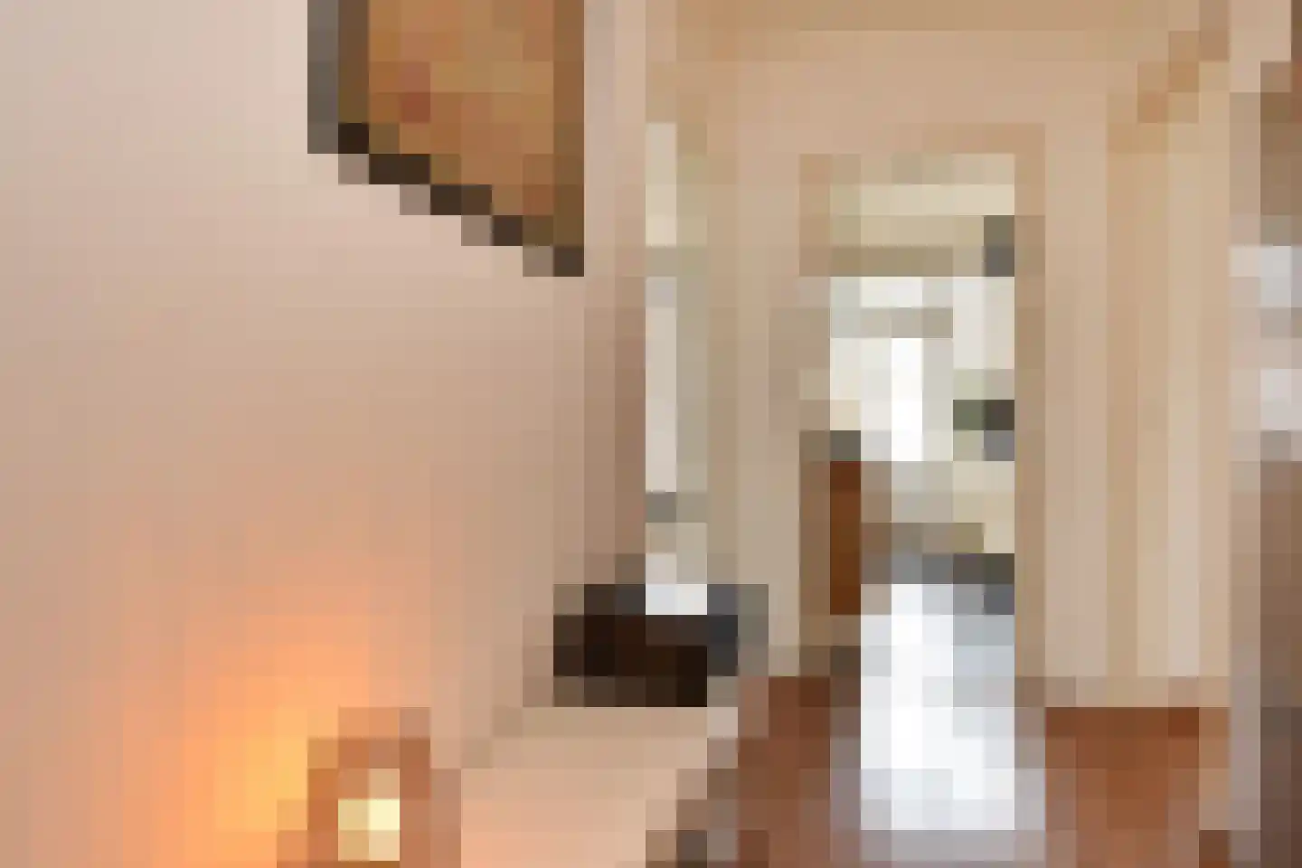 Adama van Scheltemastraat 43 Voorburg thumbnail 22