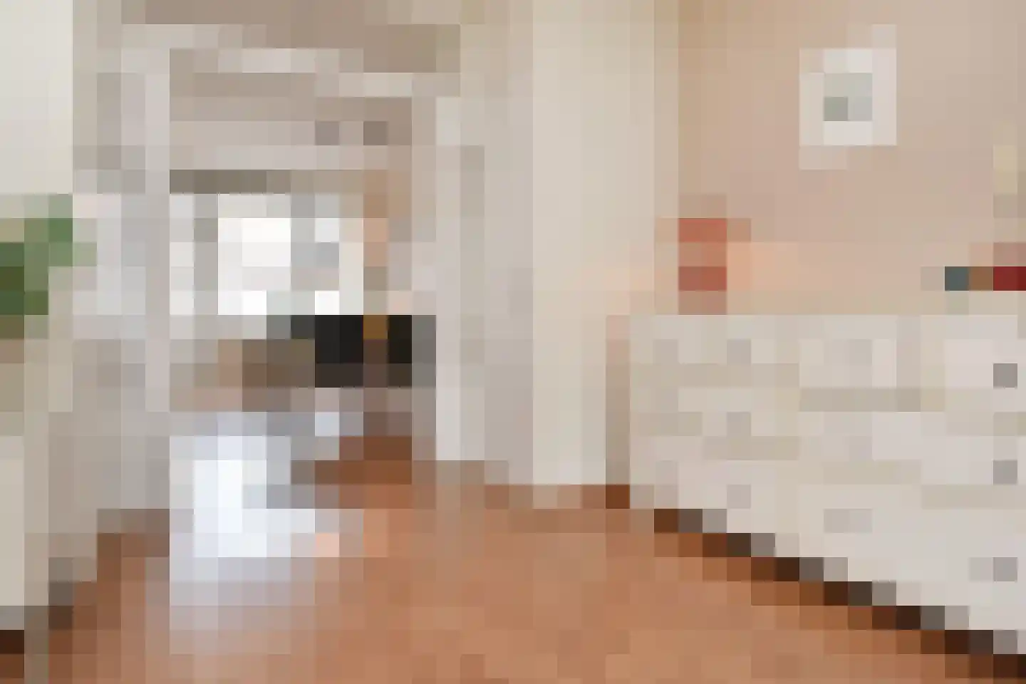 Adama van Scheltemastraat 43 Voorburg thumbnail 9