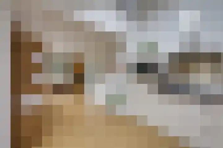 Adamastraat 5 Etten-Leur thumbnail 13