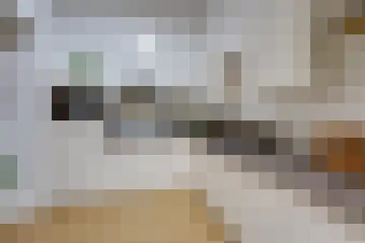 Adamastraat 5 Etten-Leur thumbnail 14