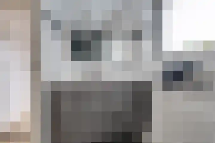 Adamastraat 5 Etten-Leur thumbnail 24