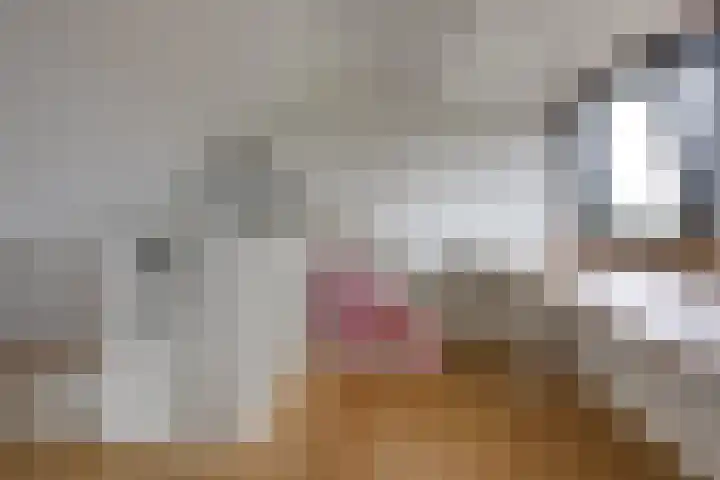 Adamastraat 5 Etten-Leur thumbnail 30