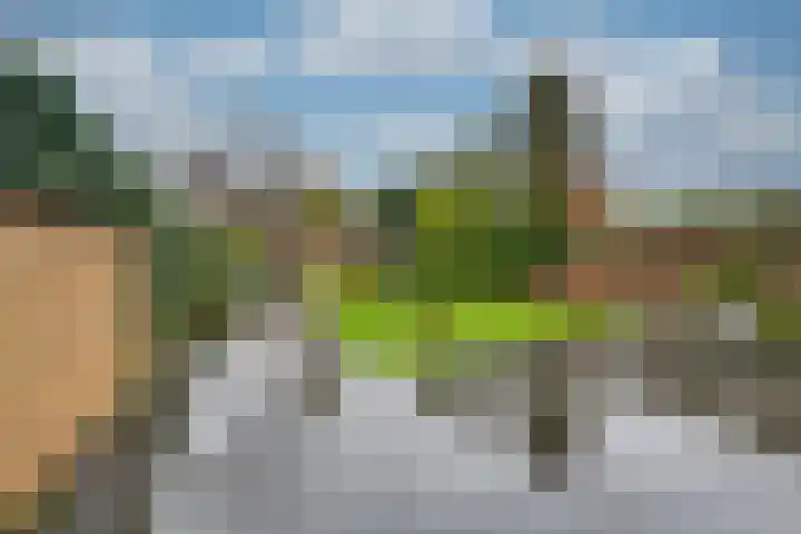 Adamastraat 5 Etten-Leur thumbnail 34