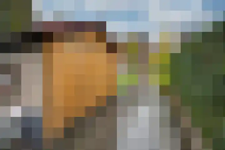 Adamastraat 5 Etten-Leur thumbnail 37