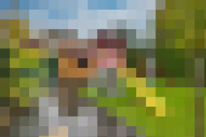 Adamastraat 5 Etten-Leur thumbnail 38