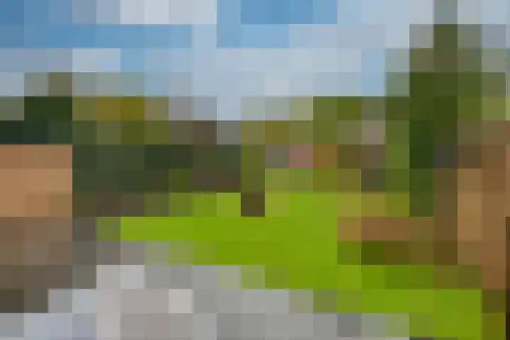Adamastraat 5 Etten-Leur thumbnail 39