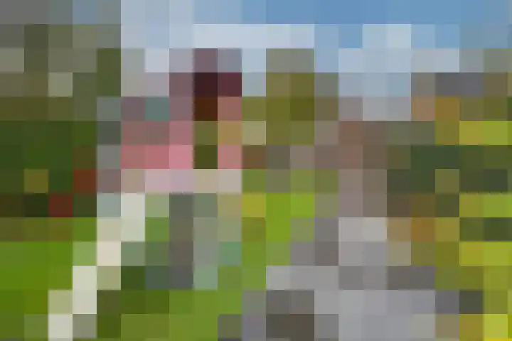 Adamastraat 5 Etten-Leur thumbnail 4