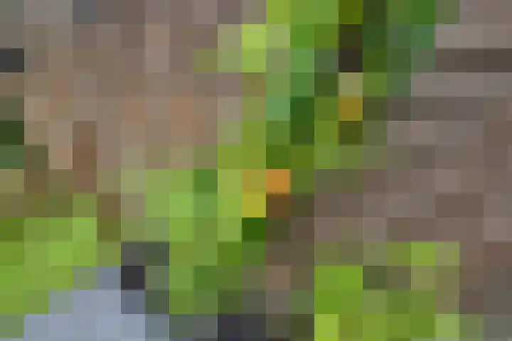 Adamastraat 5 Etten-Leur thumbnail 40