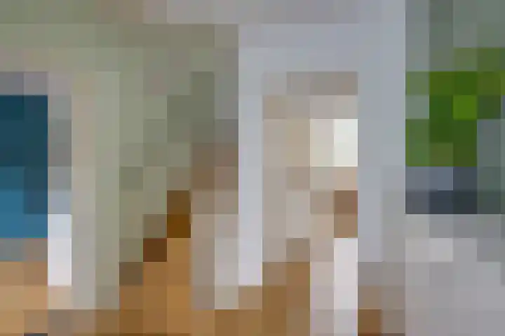Adamastraat 5 Etten-Leur thumbnail 6