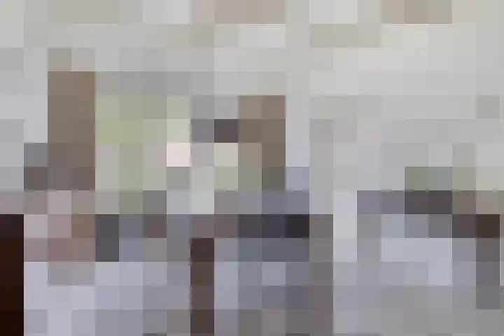 Adamastraat 8 Etten-Leur thumbnail 11