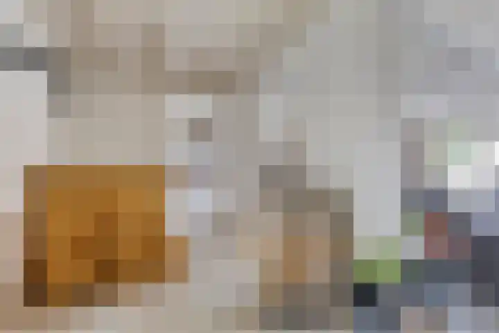 Adamastraat 8 Etten-Leur thumbnail 18