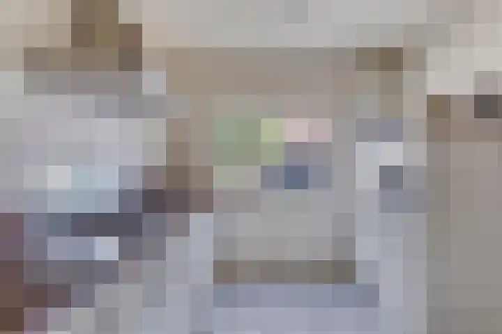 Adamastraat 8 Etten-Leur thumbnail 21