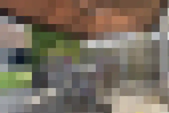 Adamastraat 8 Etten-Leur thumbnail 23