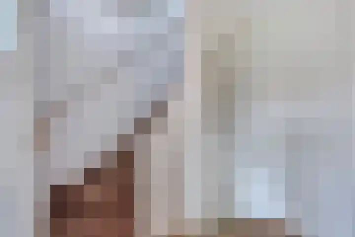 Adamastraat 8 Etten-Leur thumbnail 29