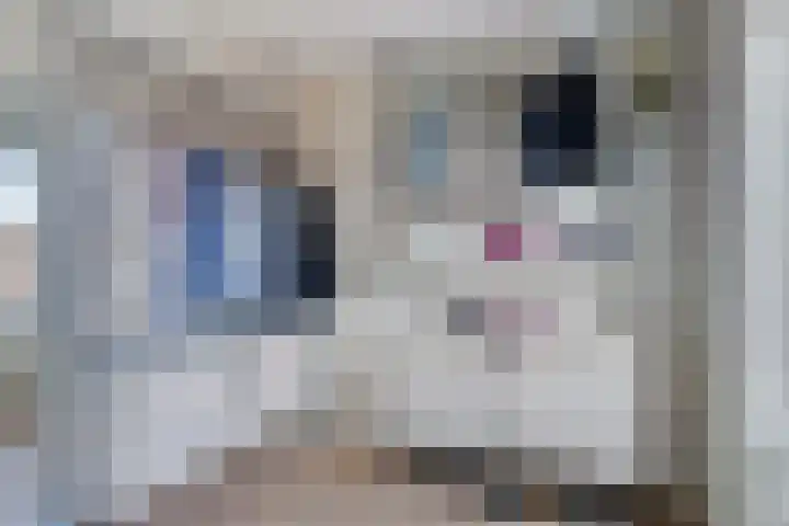 Adamastraat 8 Etten-Leur thumbnail 34