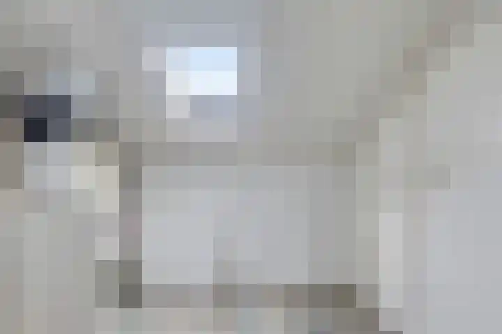 Adamastraat 8 Etten-Leur thumbnail 36