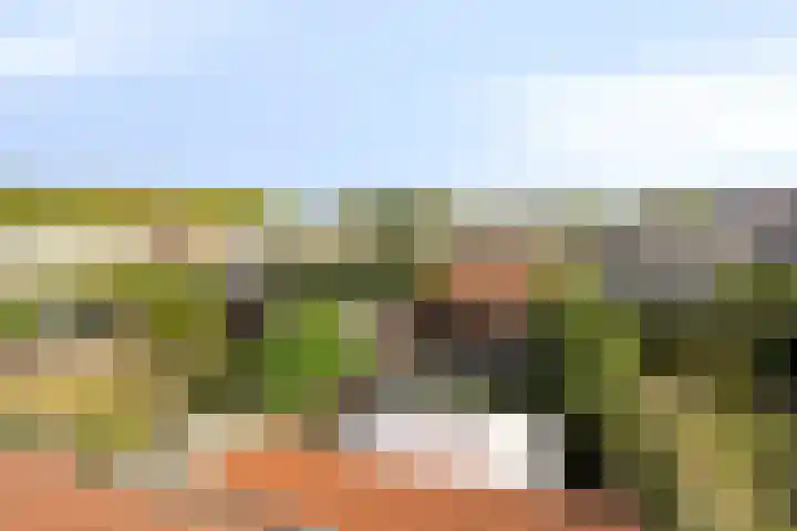 Adamastraat 8 Etten-Leur thumbnail 38