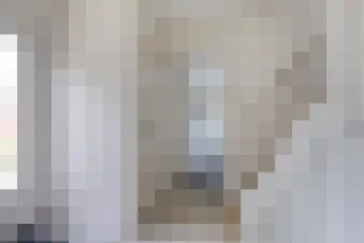 Adamastraat 8 Etten-Leur thumbnail 7