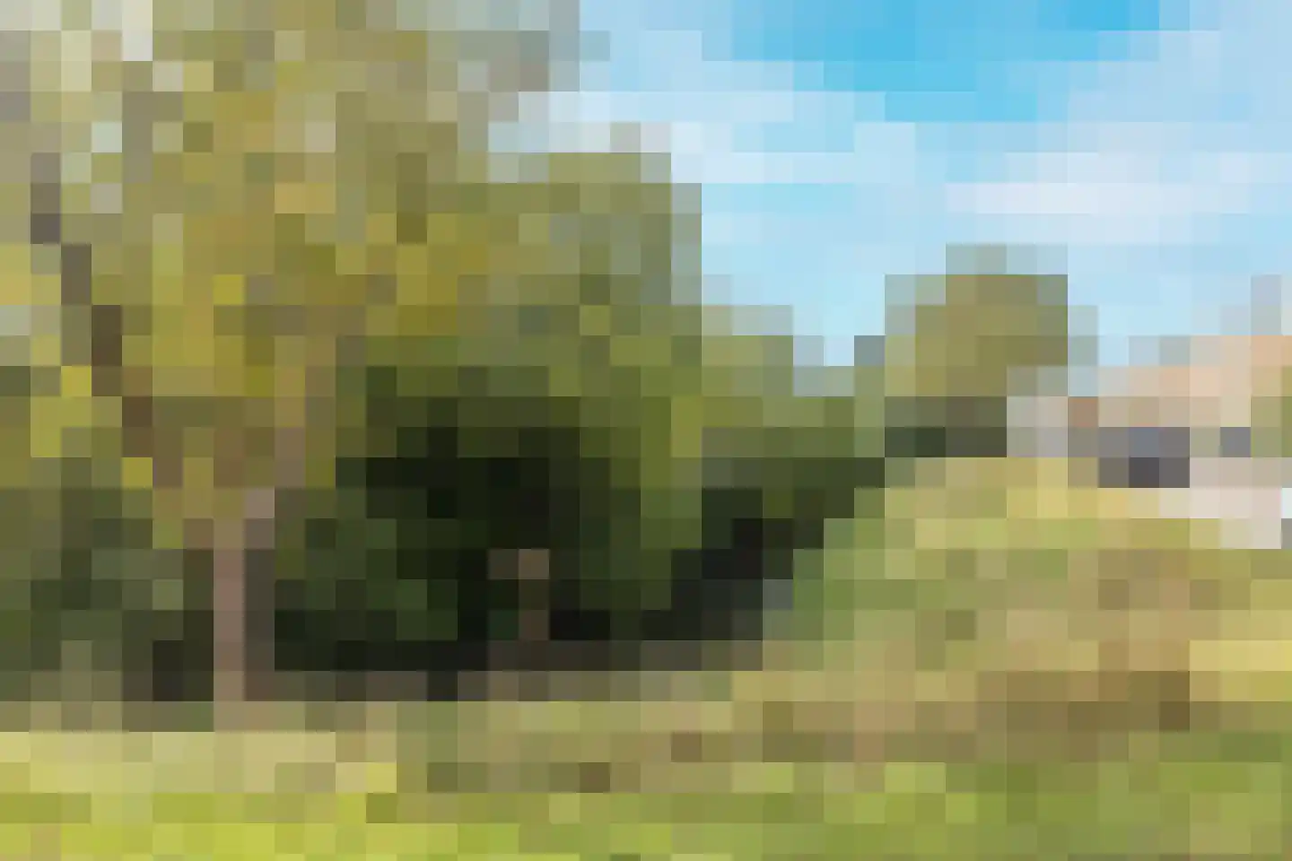 Adamello 1 Amsterdam thumbnail 23