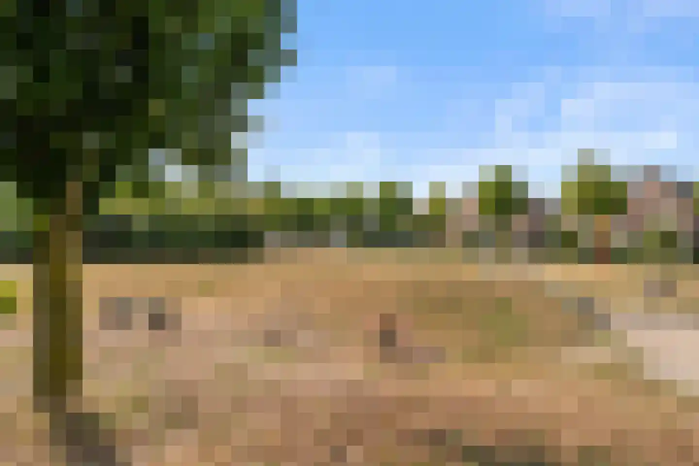 Adamsdreef 11 Ede thumbnail 11