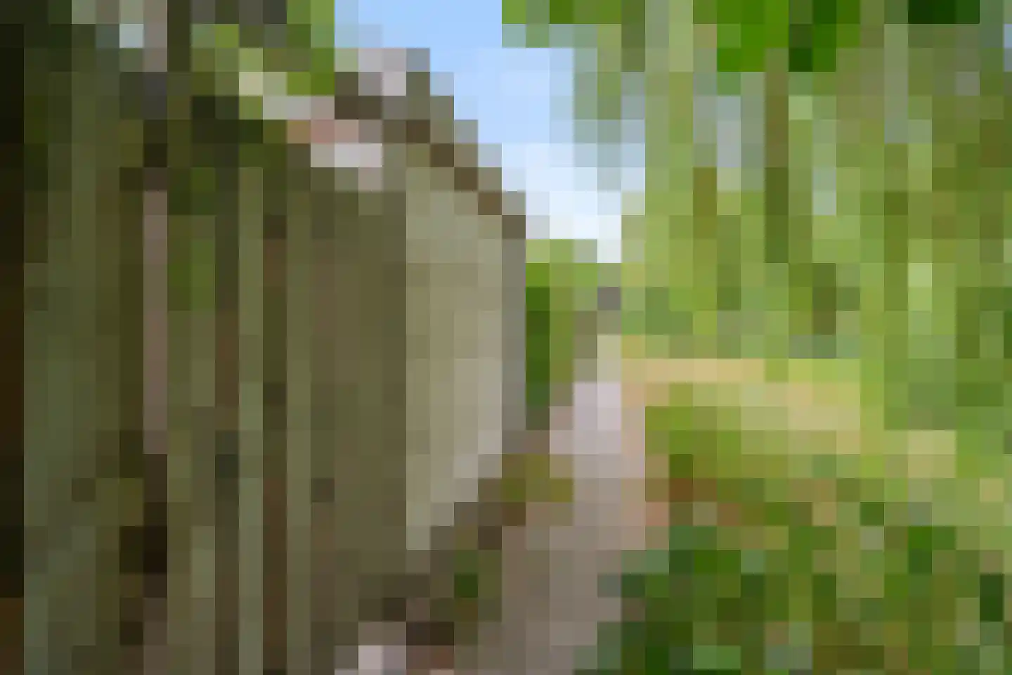 Adamsdreef 11 Ede thumbnail 12