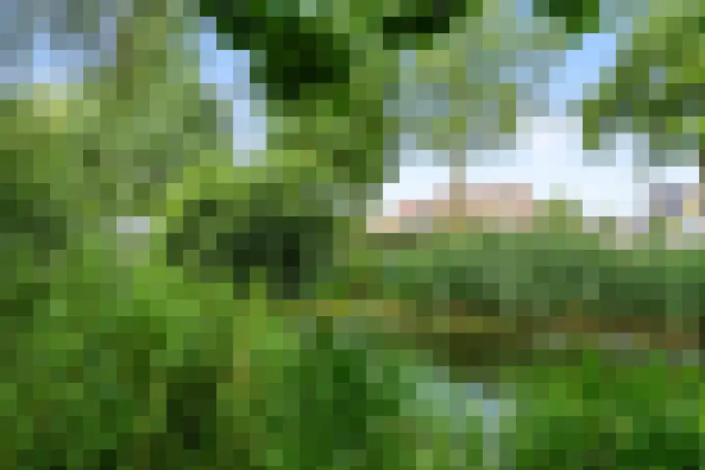 Adamsdreef 11 Ede thumbnail 13