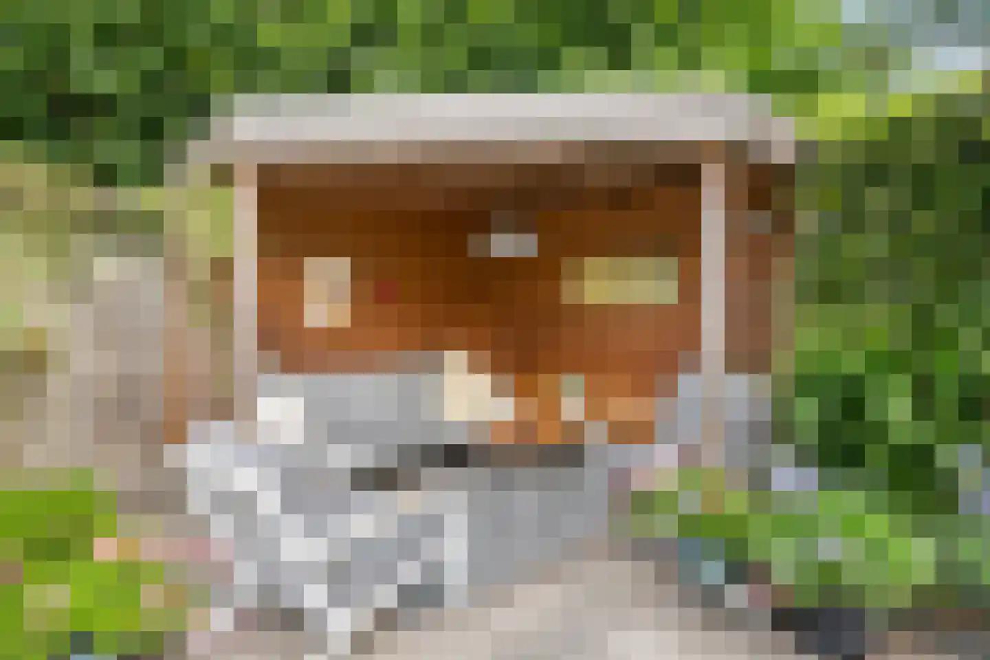 Adamsdreef 11 Ede thumbnail 19