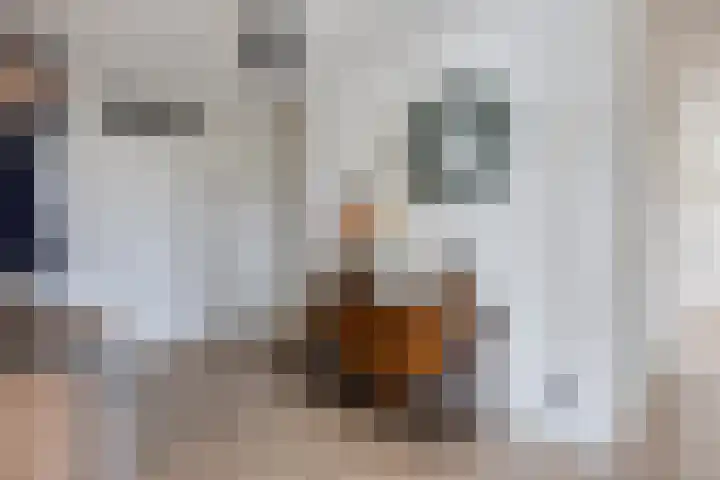 Adamsdreef 179 Ede thumbnail 10