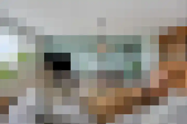 Adamsdreef 179 Ede thumbnail 14