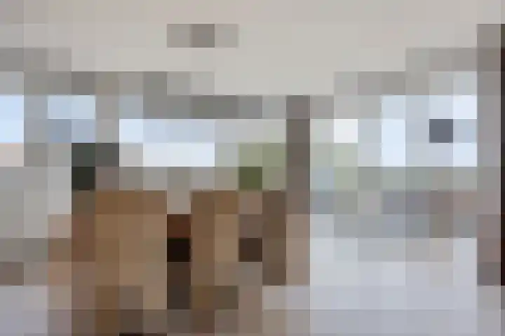 Adamsdreef 179 Ede thumbnail 19