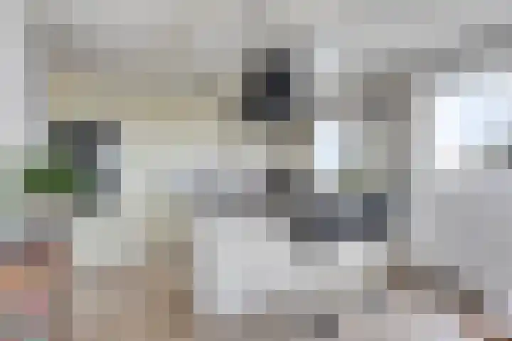 Adamsdreef 179 Ede thumbnail 21