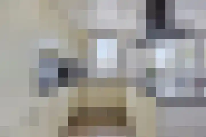 Adamsdreef 179 Ede thumbnail 22