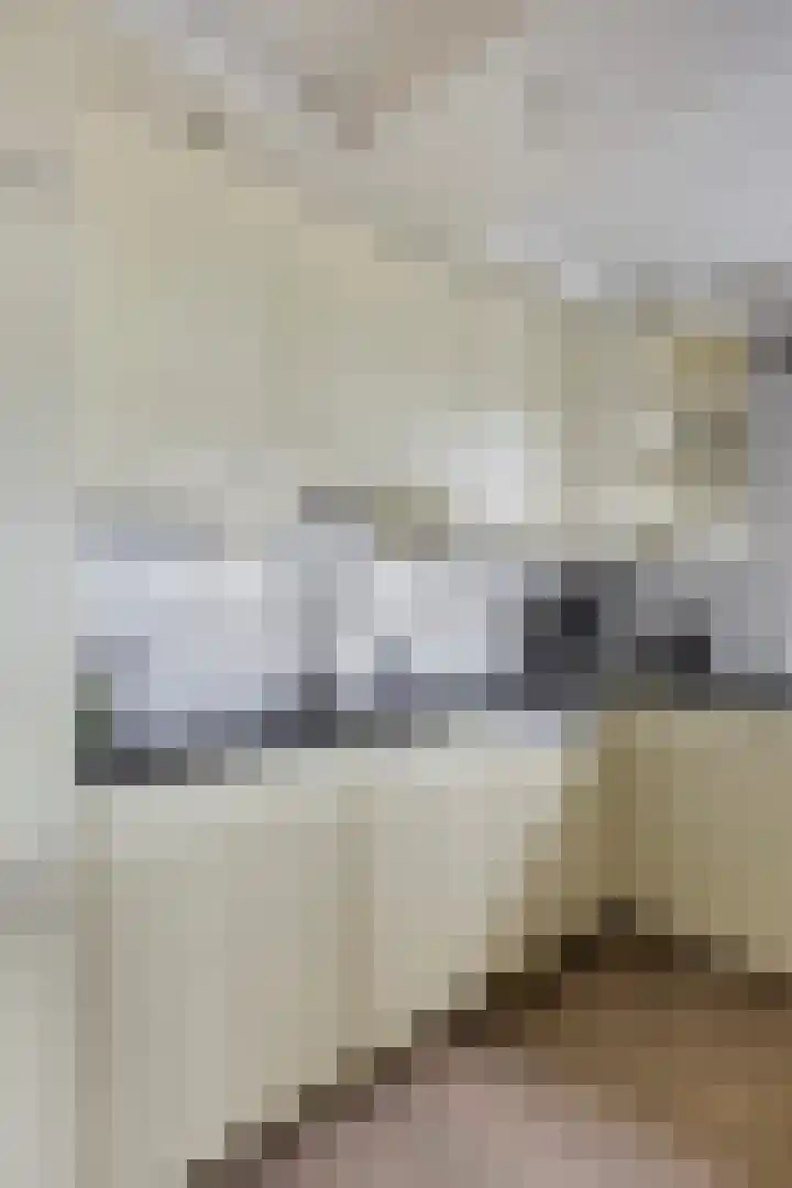 Adamsdreef 179 Ede thumbnail 25