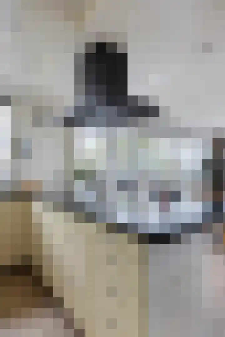 Adamsdreef 179 Ede thumbnail 26