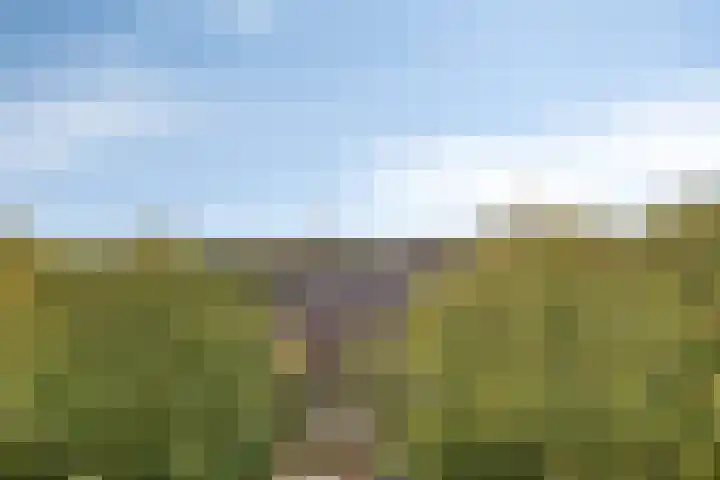 Adamsdreef 179 Ede thumbnail 36