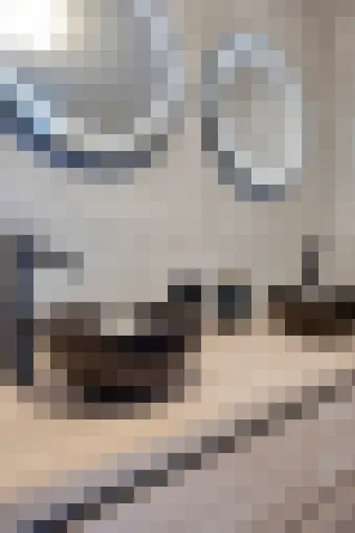 Adamsdreef 179 Ede thumbnail 41