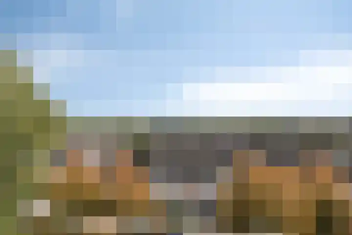 Adamsdreef 179 Ede thumbnail 49