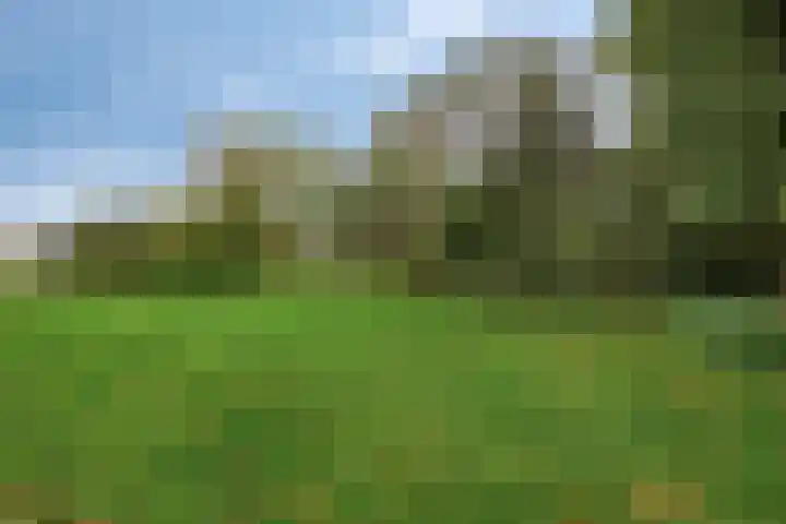 Adamsdreef 179 Ede thumbnail 53