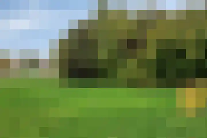 Adamsdreef 179 Ede thumbnail 54